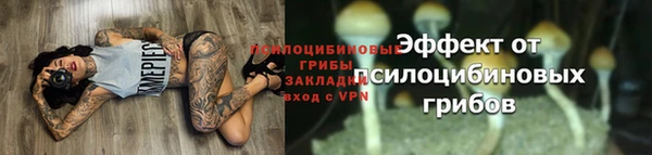 трава Наволоки