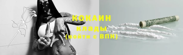 трава Наволоки
