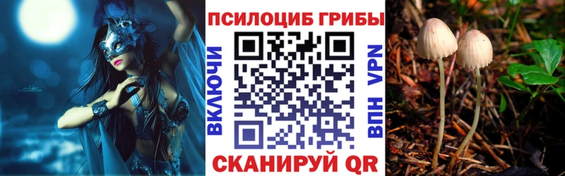 Псилоцибиновые грибы прущие грибы Липецк
